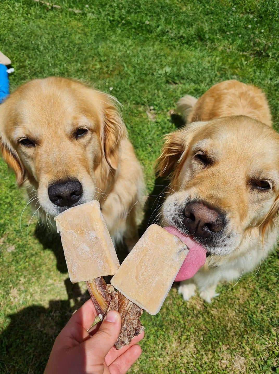 Pupsicle