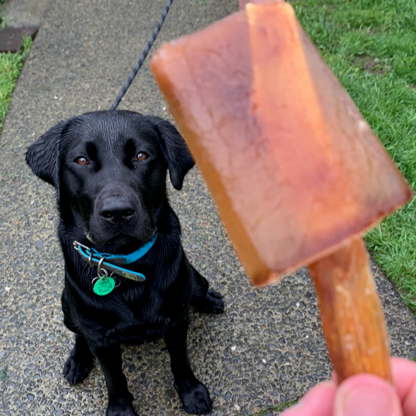 Pupsicle