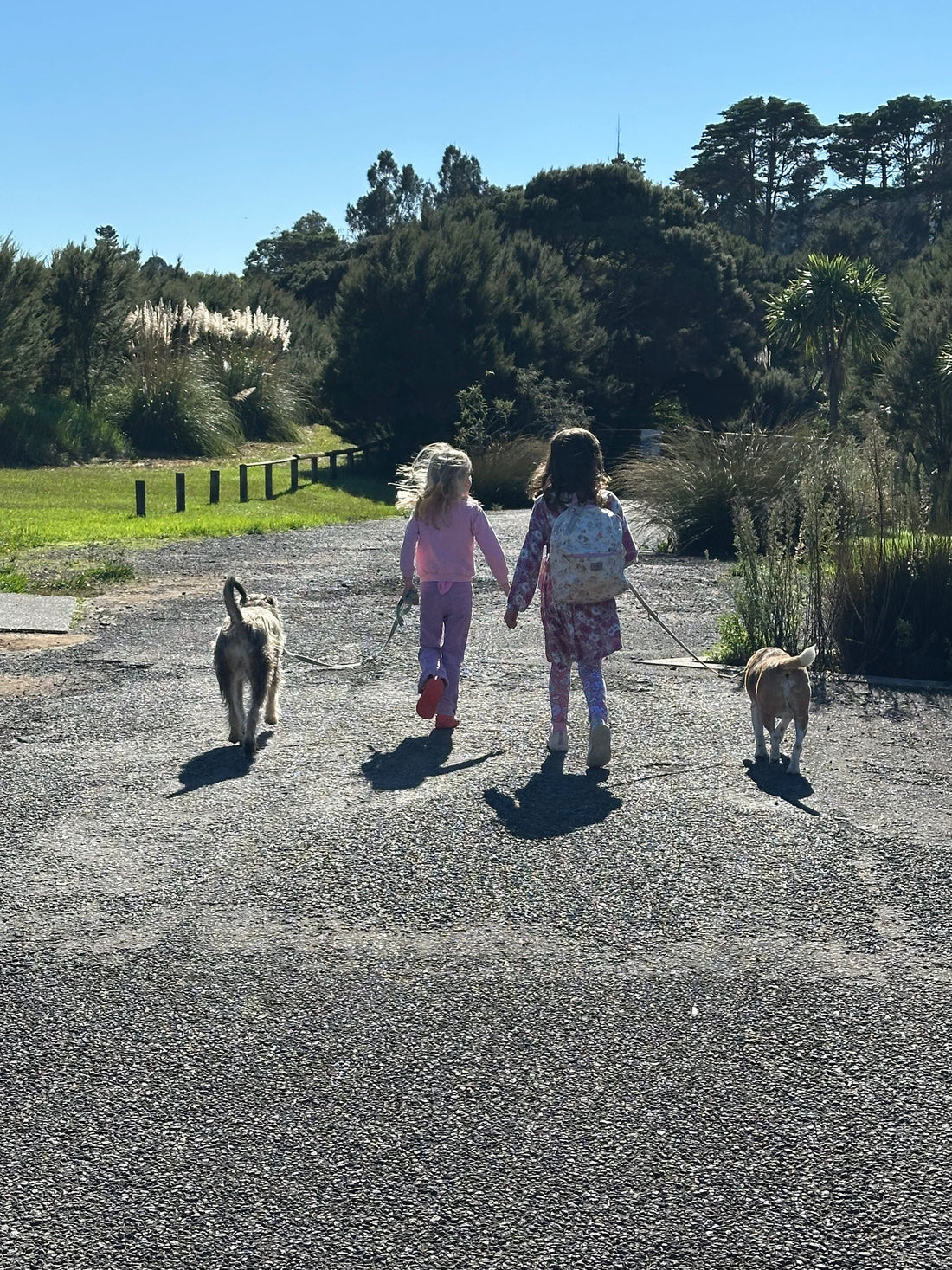 Why Training Both On-Lead and Off-Lead Matters