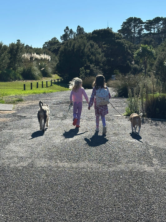 Why Training Both On-Lead and Off-Lead Matters