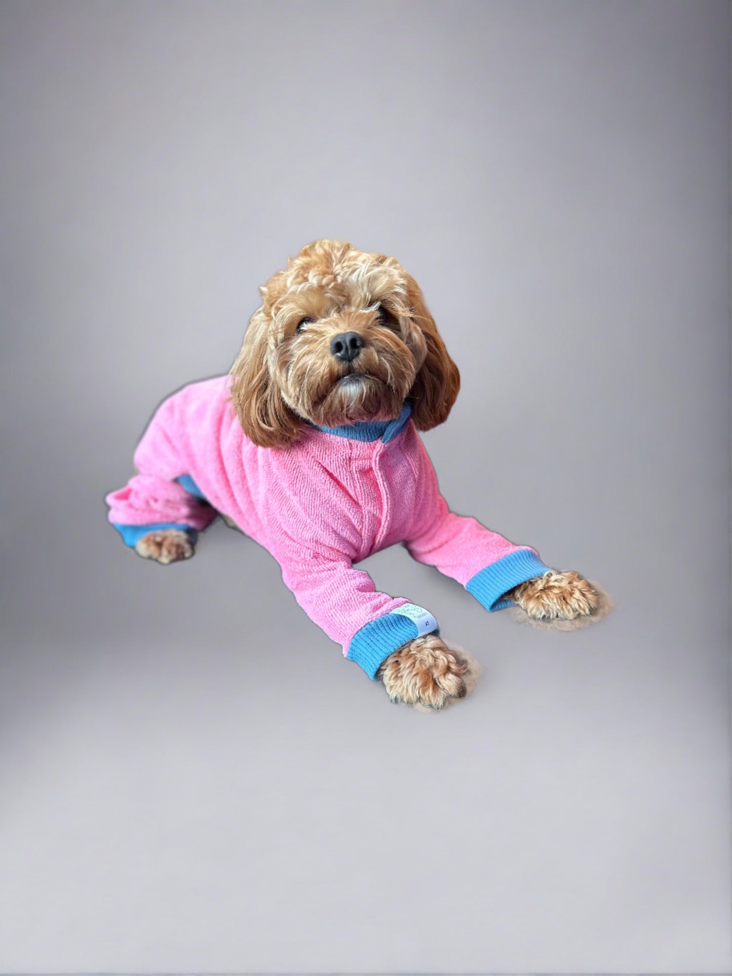World's Best Dog Towel