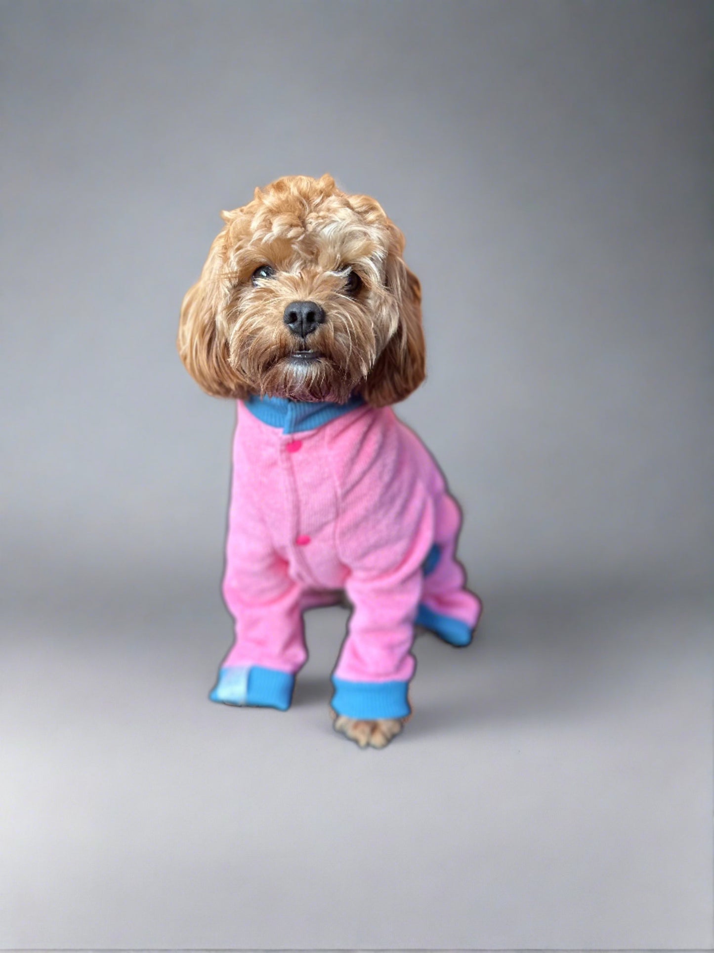 World's Best Dog Towel