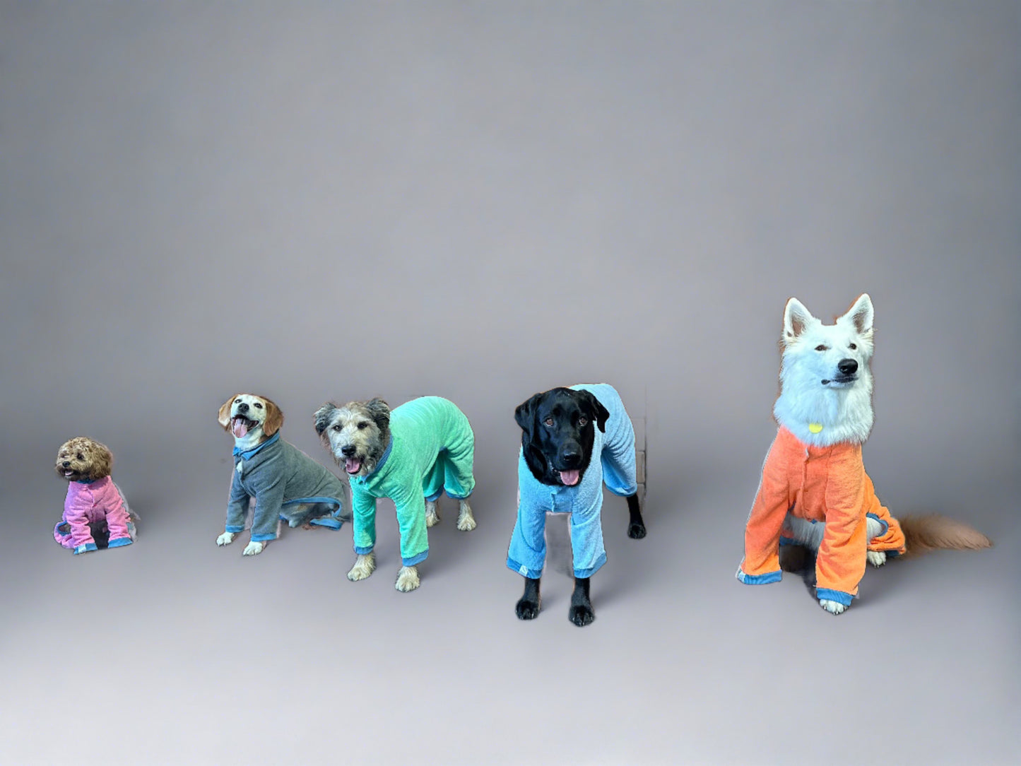 World's Best Dog Towel