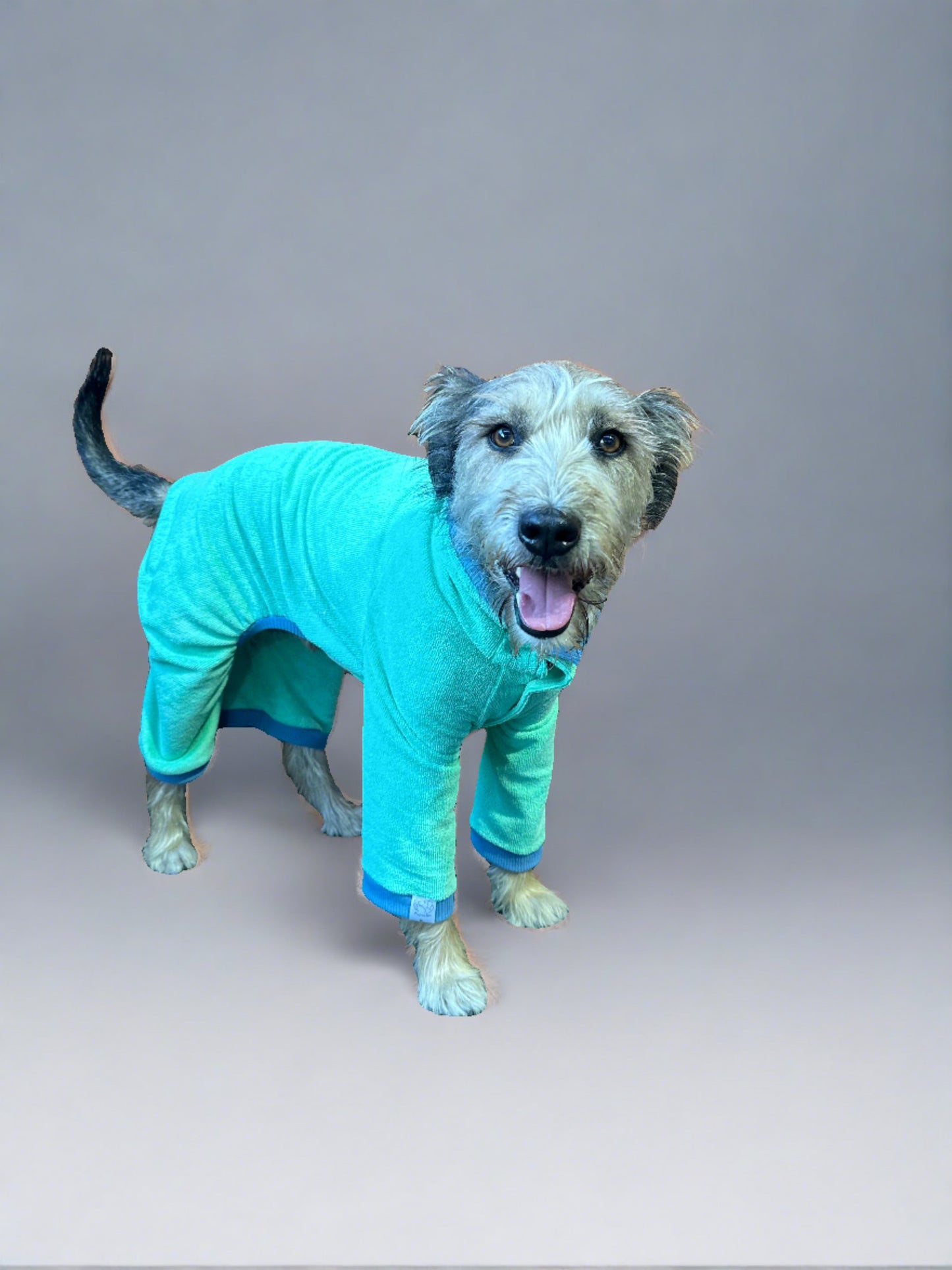 World's Best Dog Towel
