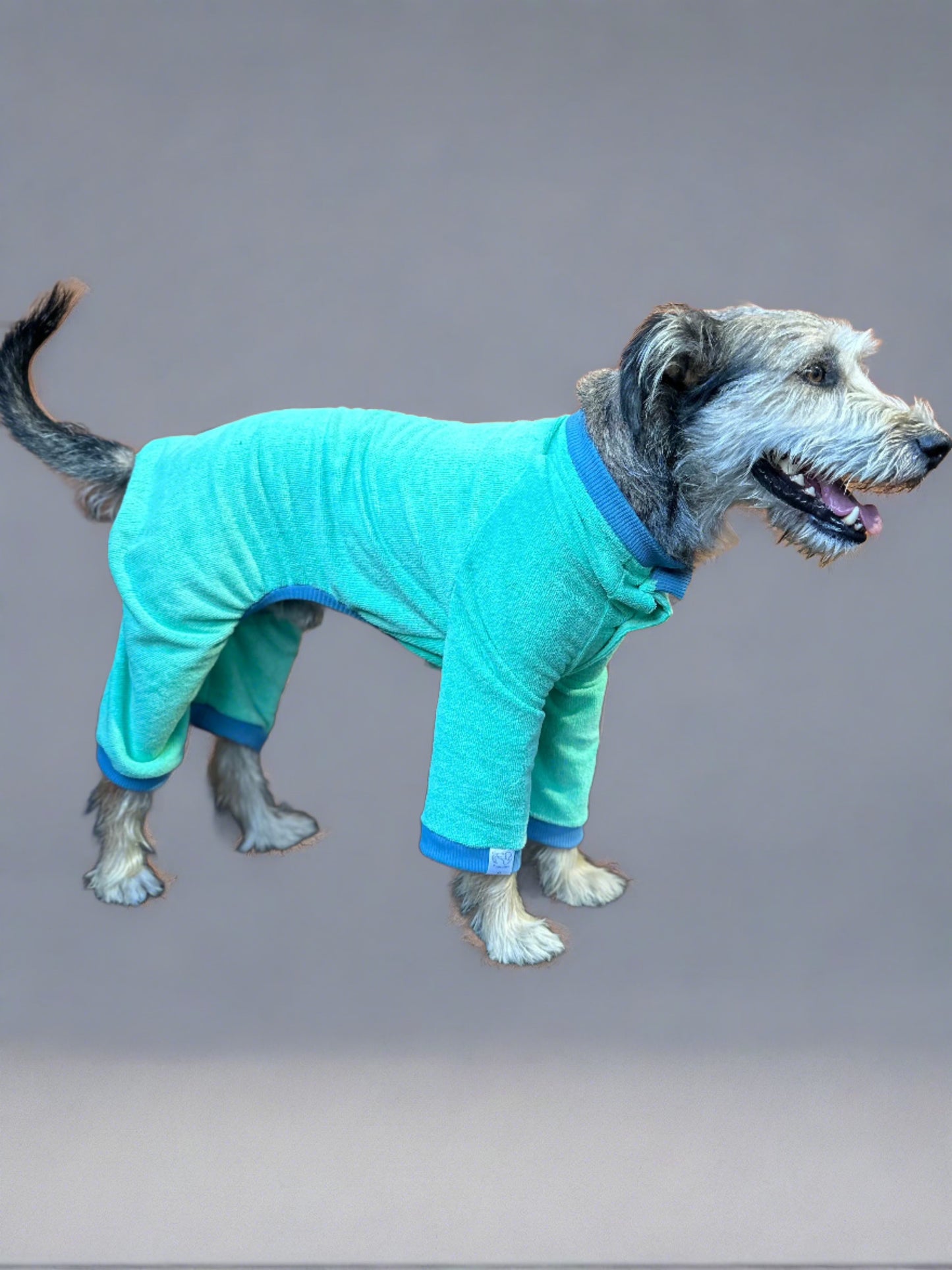 World's Best Dog Towel