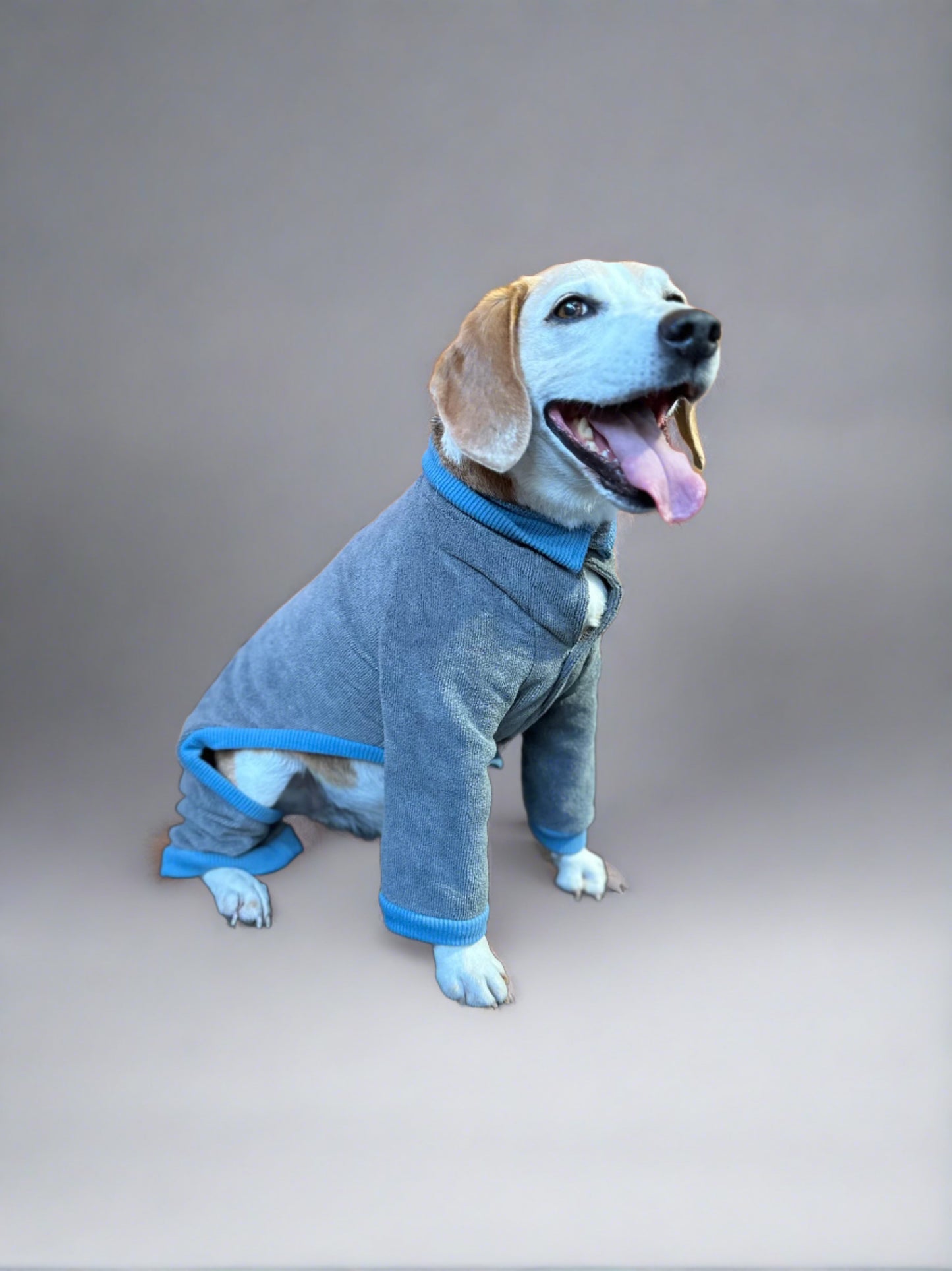 World's Best Dog Towel