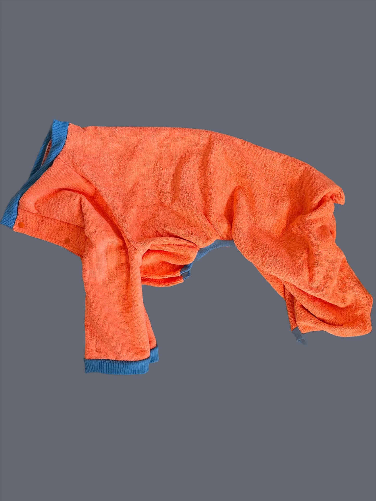 World's Best Dog Towel