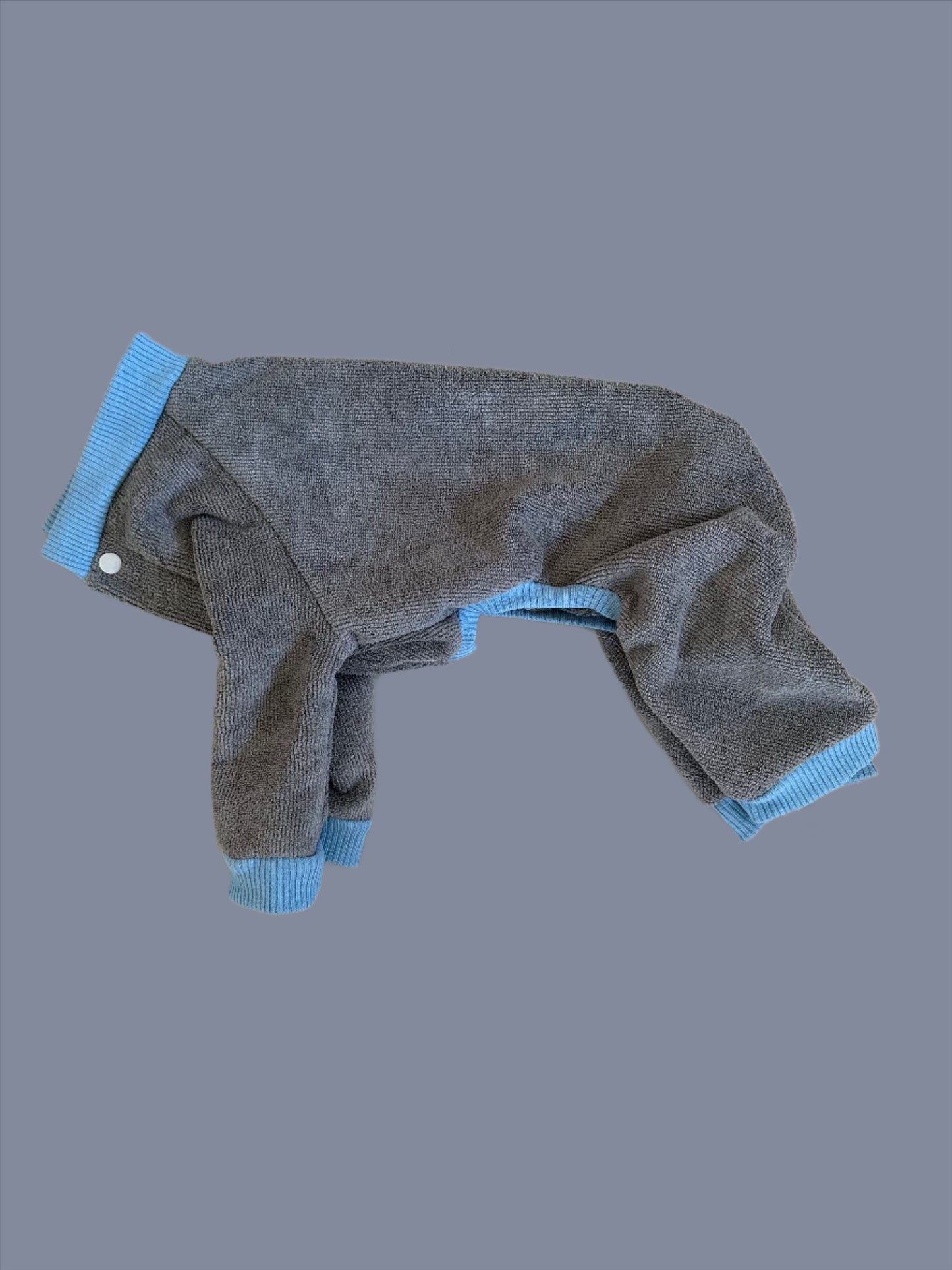 World's Best Dog Towel