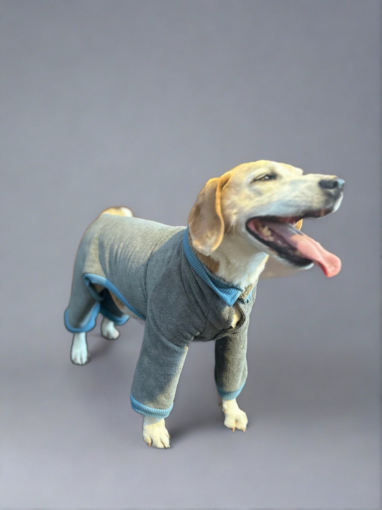 World's Best Dog Towel
