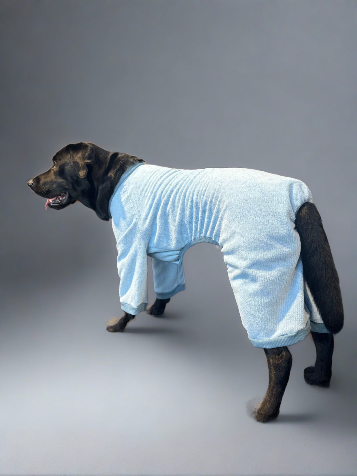 World's Best Dog Towel