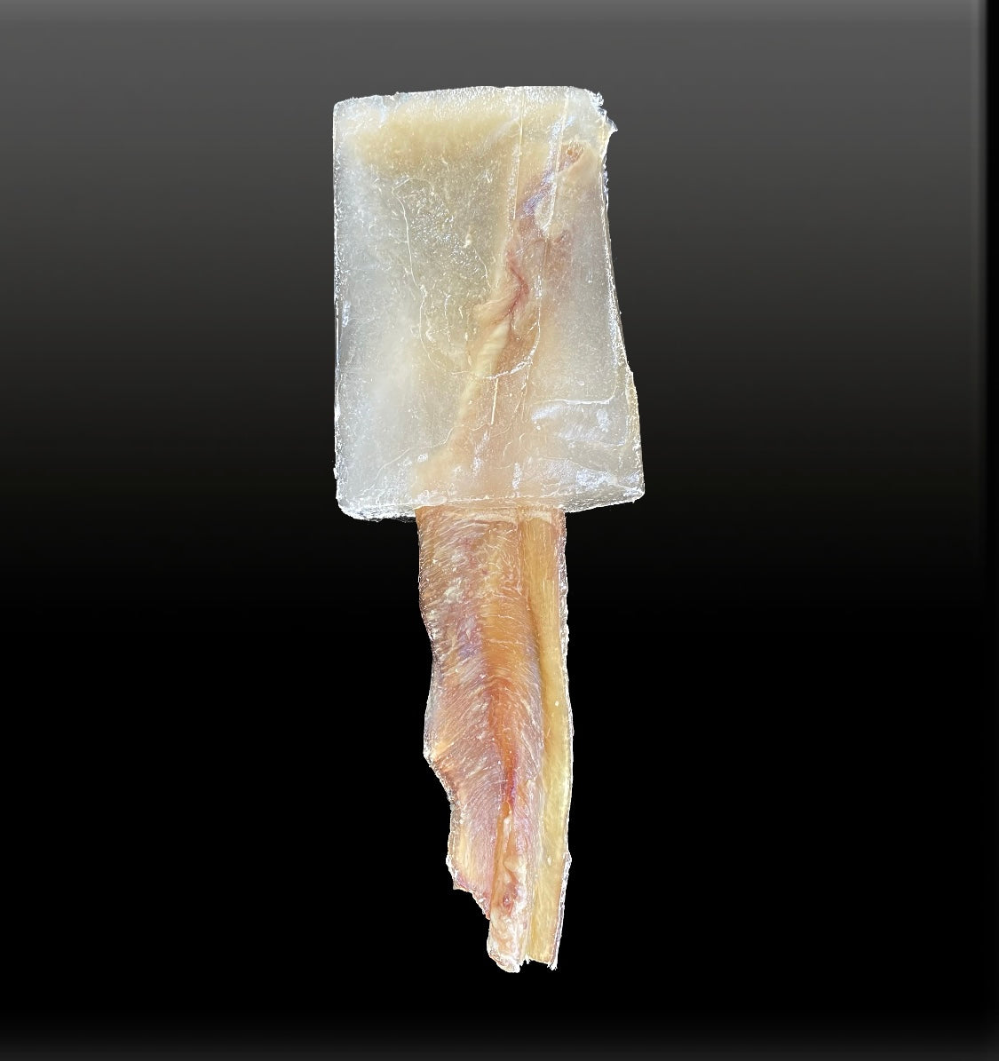 Pupsicle