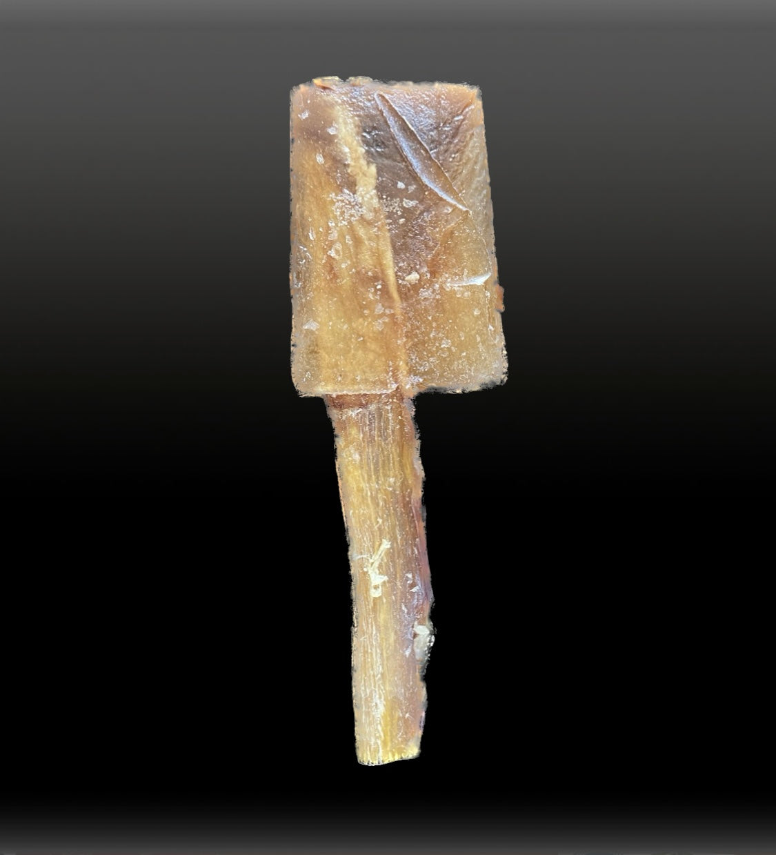 Pupsicle