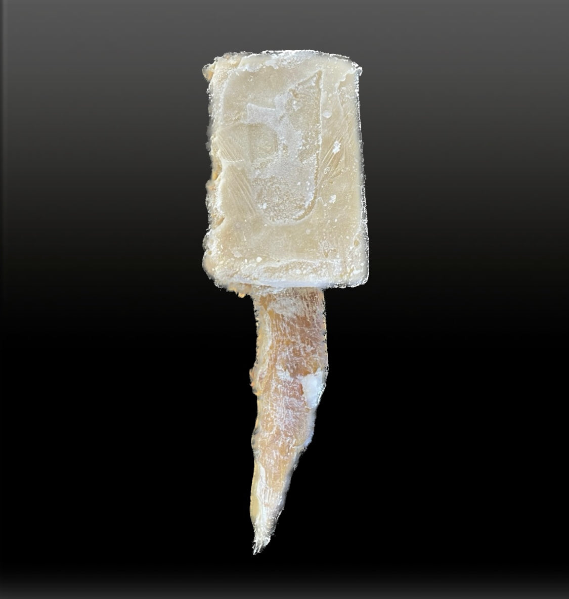 Pupsicle